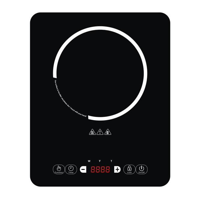 Dual voltage impex battery powered induction cooker