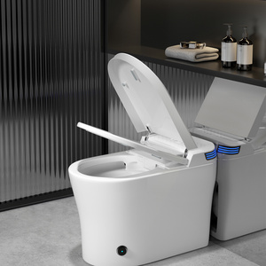 Custom Modern Hot selling Factory high quality one piece smart intelligent toilet