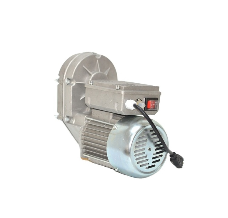 Aoer AC Single Phase Electric Concrete Mixer Motor 220v