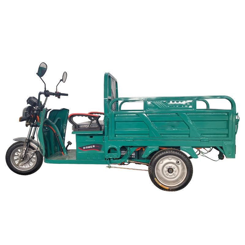 Electric Tricycle Factory Customized Adult Tricycle 48V Cargo Electric Motorcycles 2 Wheels 1 in Front Brushless Open 