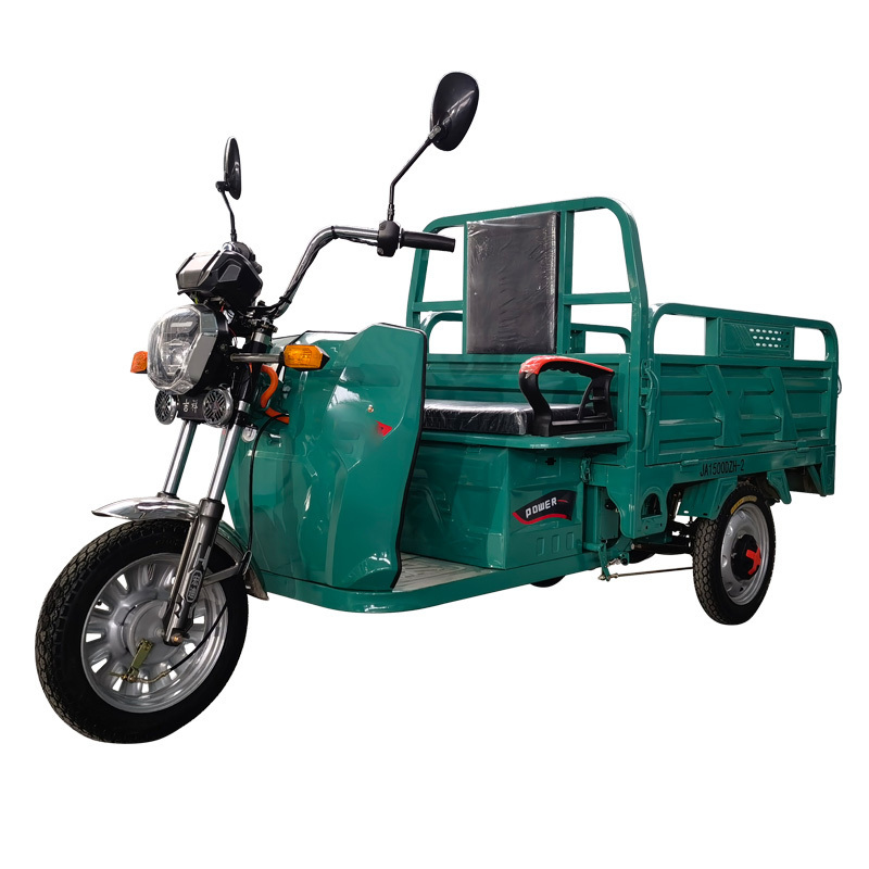 Electric Tricycle Factory Customized Adult Tricycle 48V Cargo Electric Motorcycles 2 Wheels 1 in Front Brushless Open 