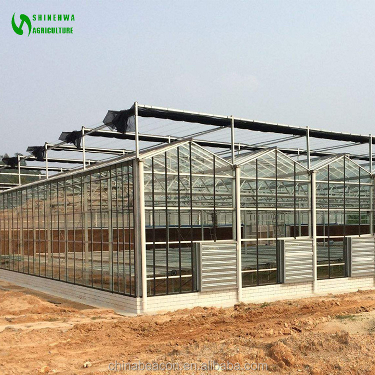 best quality garden glass greenhouse used for sale