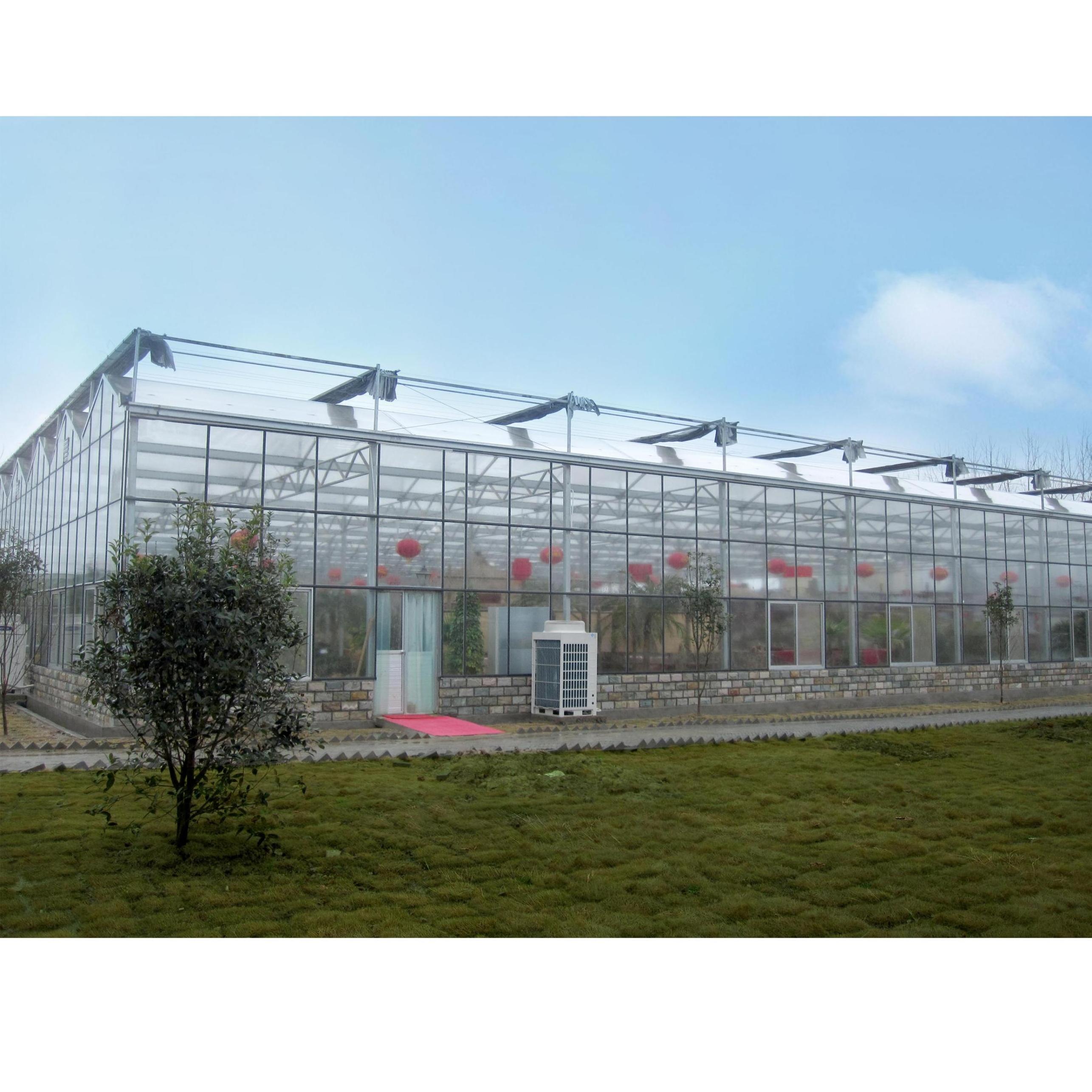 Venlo  Glass  Agricultural Greenhouse For Sale  Multi-Span Green House For Tomato