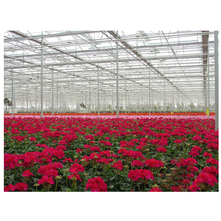 best quality garden glass greenhouse used for sale