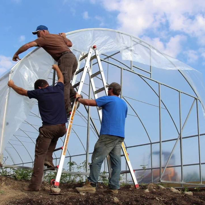 Agriculture Used poly tunnel plastic film Greenhouse Tent For Sale