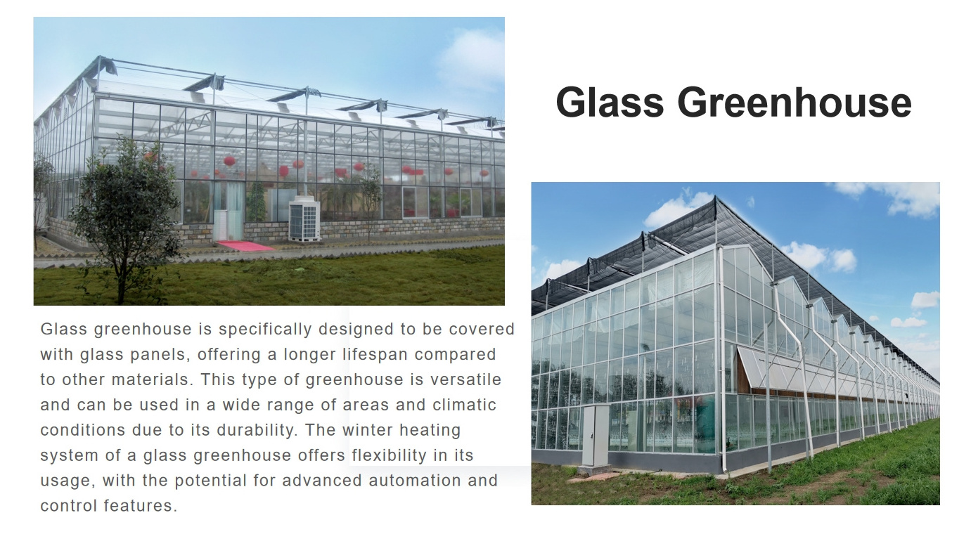 Venlo  Glass  Agricultural Greenhouse For Sale  Multi-Span Green House For Tomato