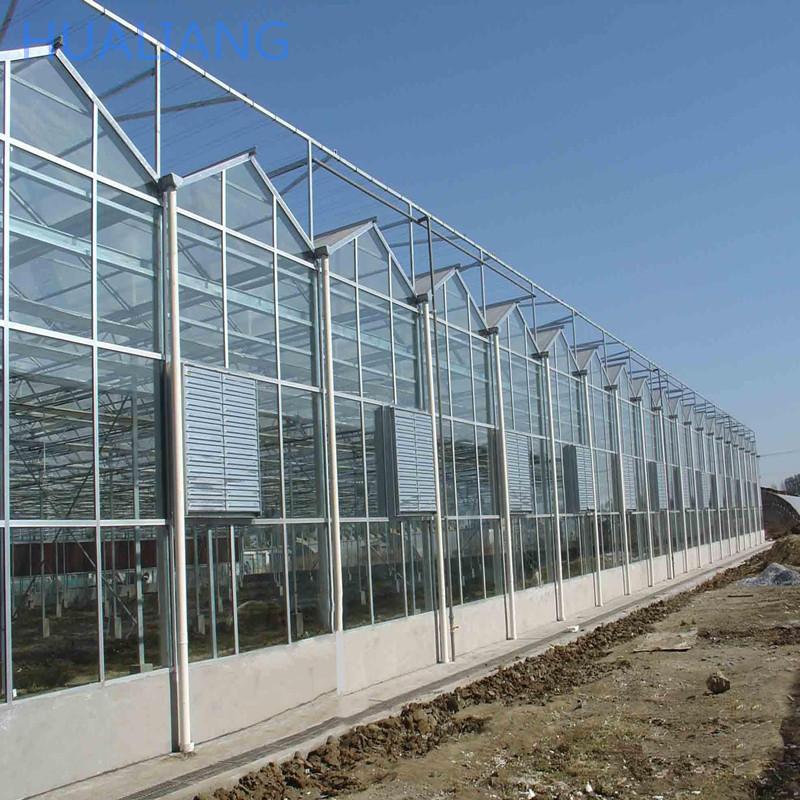 Commercial greenhouse hydroponic system dutch bucket system