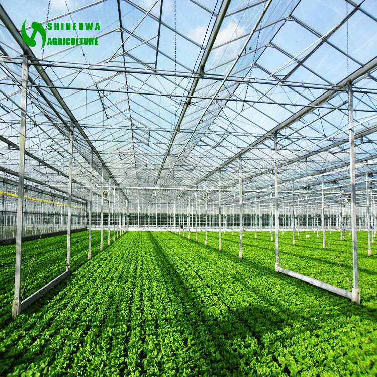 best quality garden glass greenhouse used for sale