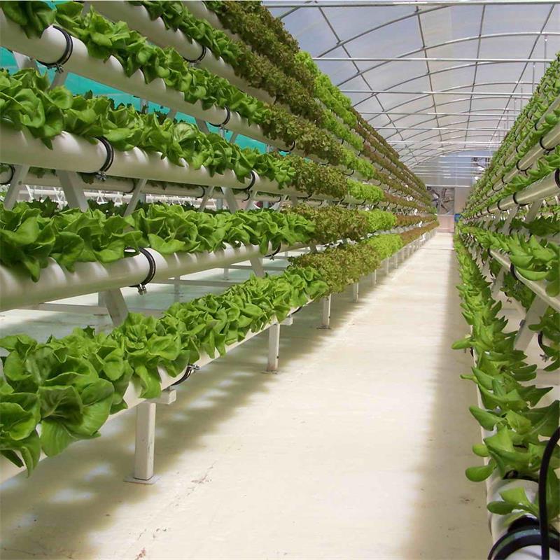 Commercial PVC Hydroponic Grow Systems For Sale vertical hydroponics