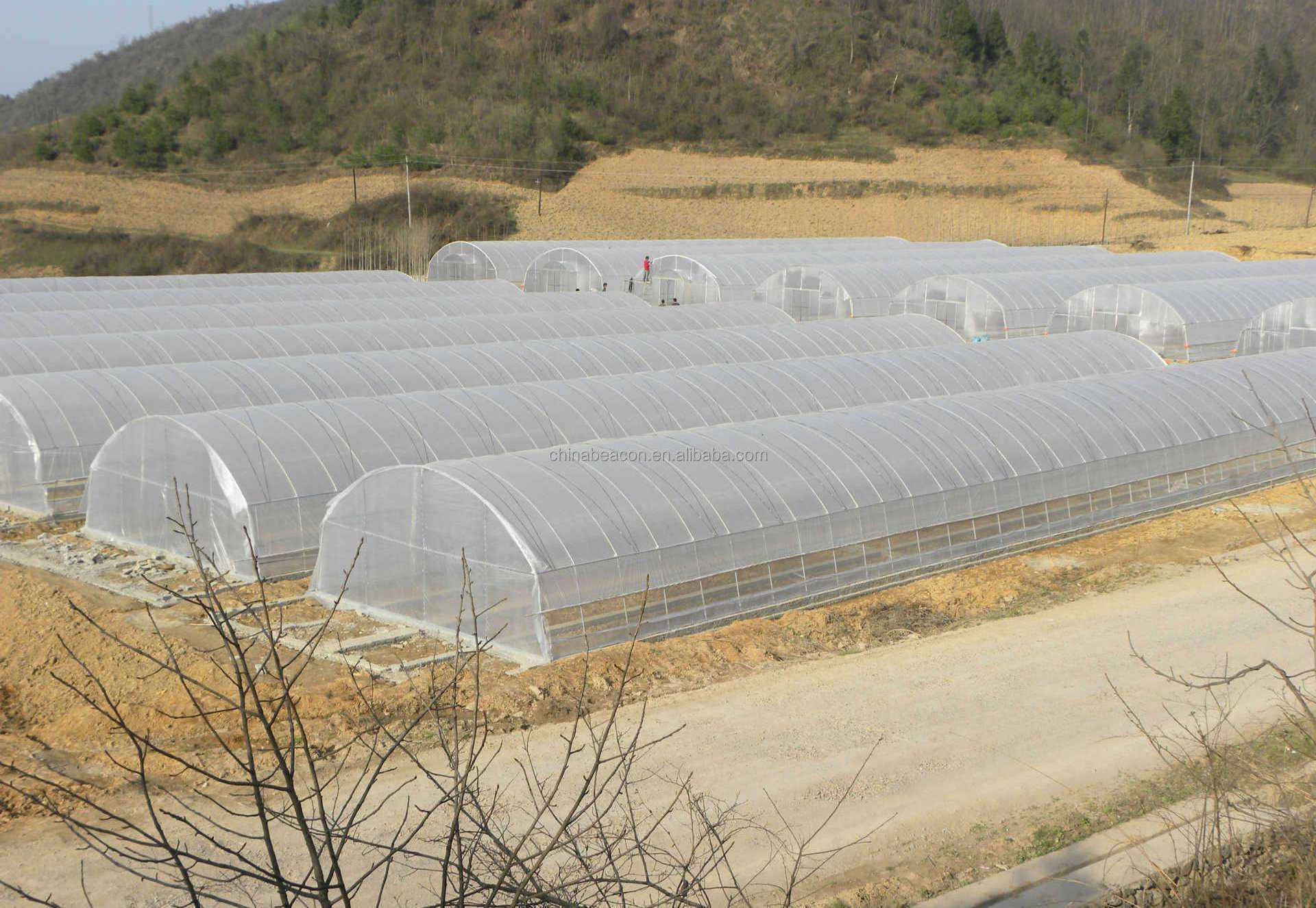 Hualiang Economic Tunnel Plastic Greenhouse for Vegetable with Drip Irrigation System