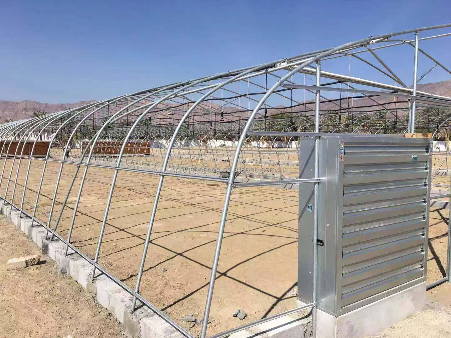 Hualiang Economic Tunnel Plastic Greenhouse for Vegetable with Drip Irrigation System