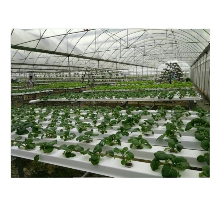 Commercial PVC Hydroponic Grow Systems For Sale vertical hydroponics