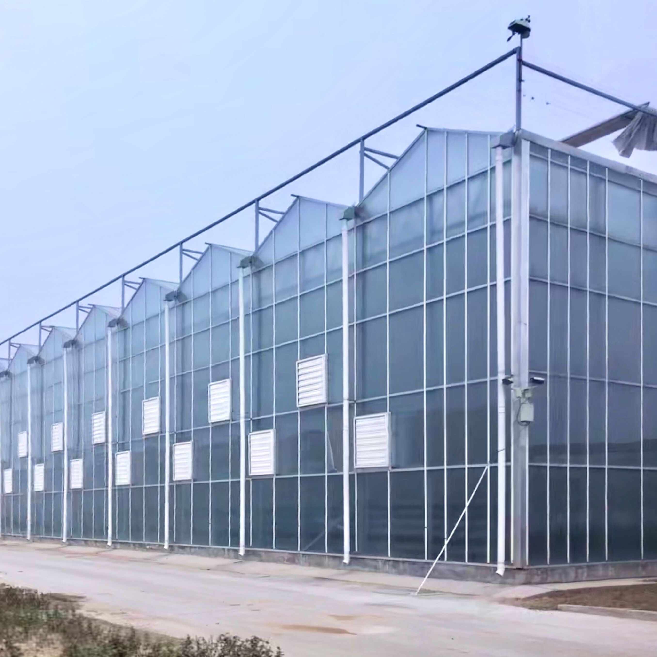 Venlo  Glass  Agricultural Greenhouse For Sale  Multi-Span Green House For Tomato