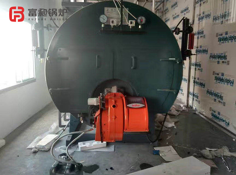 Industrial 5.0ton Dual Fuel Steam Boiler for Washing Center