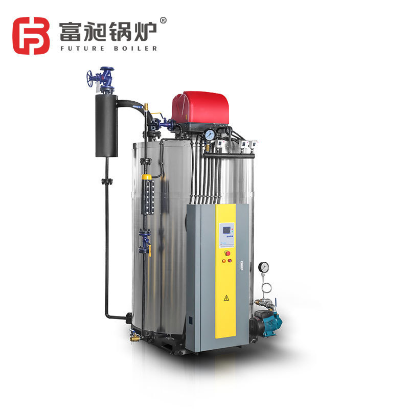 Factory Direct Sell for Dry Cleaning Machine Price Natural Gas Steam Boiler 300kg 500kg