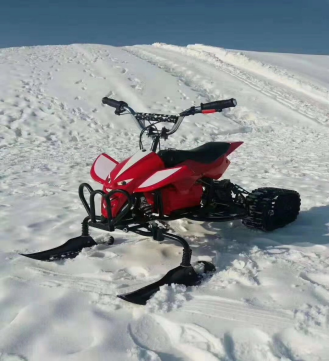 Made in china Adults New Snowmotor hot sale Flying eagle ATV snowmobile