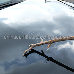 Professional Factory Experts Car Paint Ceramic Coating Agent Nano Graphene Coating For Car Care