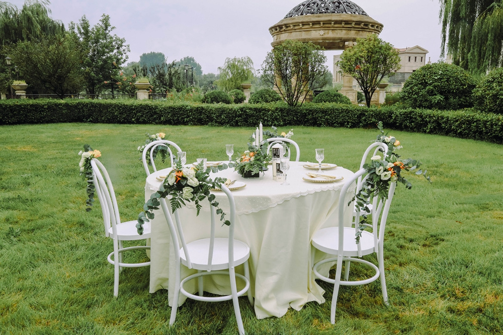 French solid wood and resin farm dining wedding bentwood thonet chair