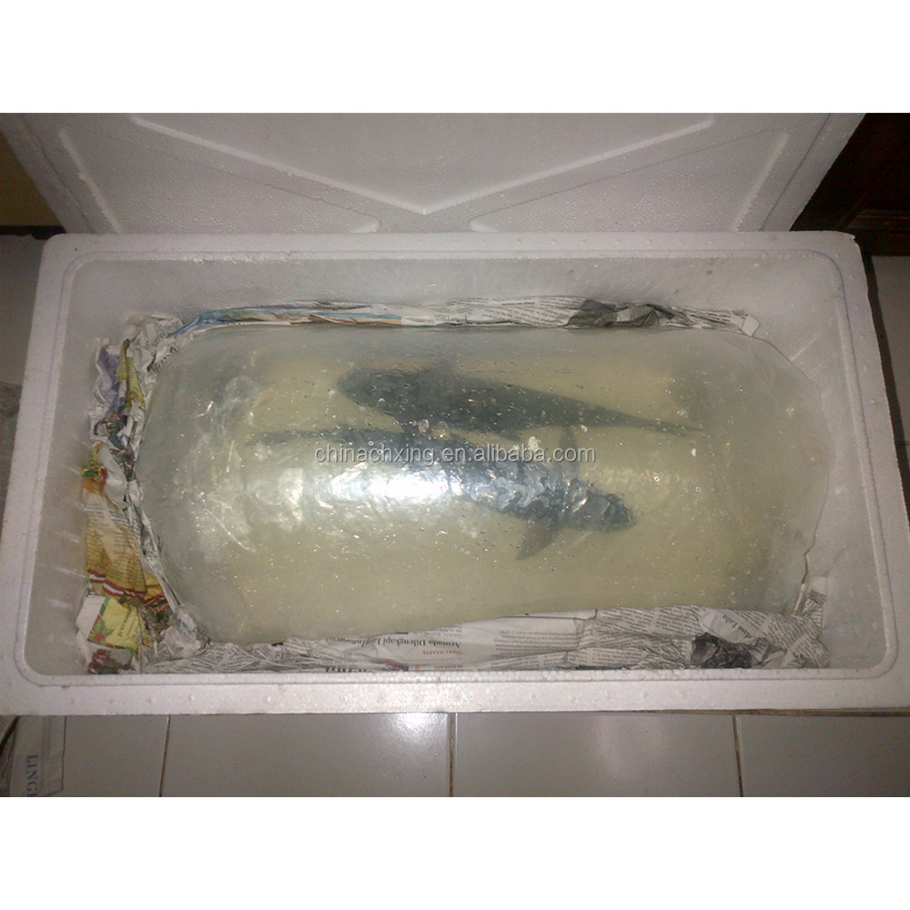 Waterproof styrofoam polystyrene box for live fish container