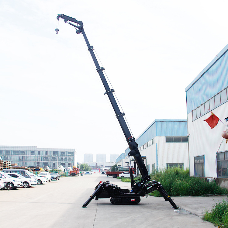 Tower Crane Wind Speed Sensor Patient Lifting Flatbed 8ton Crane Lifting Equipment Spider Crane for Sale