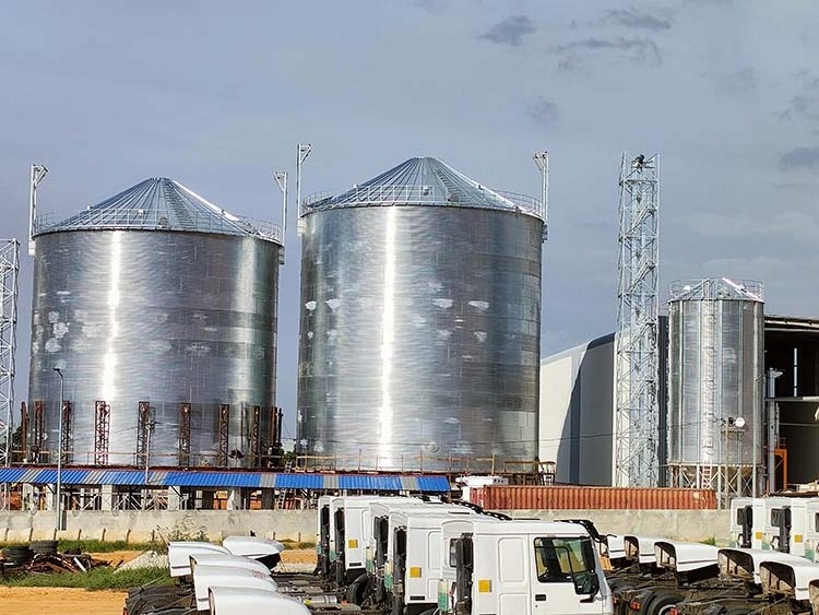 Customized 100-10000tons Galvanized Steel Corn seed Maize Grain Cereal Feed Storage Silo for Farm/Feed Production Line