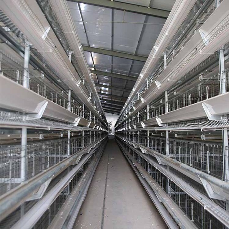 Modern Design H Type 4 Tiers Automatic Egg Poultry Farms Battery Layer Chicken Cages Raising Farming Equipment in Africa