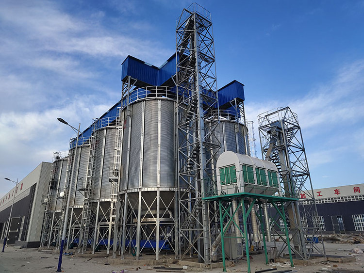 High Capacity Steel Vertical Bean Coffee Bins Paddy Storage Feed Grain Silo for farm feed line