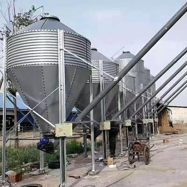 Custom Pig Feed Grain Bins Storage Silo Machine dry grain Storage animal feed silo Hopper Bottom Bins