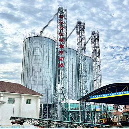 Customized 100-10000tons Galvanized Steel Corn seed Maize Grain Cereal Feed Storage Silo for Farm/Feed Production Line