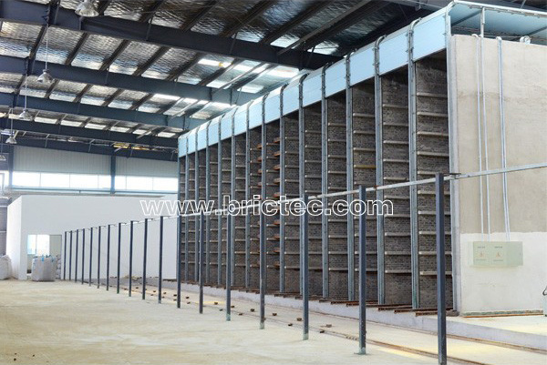 Dry the wet blanks of the automatic brick making machine tunnel kiln for burning bricks