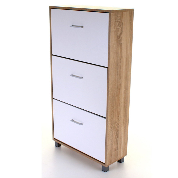 modern designer smart shoe cabinet