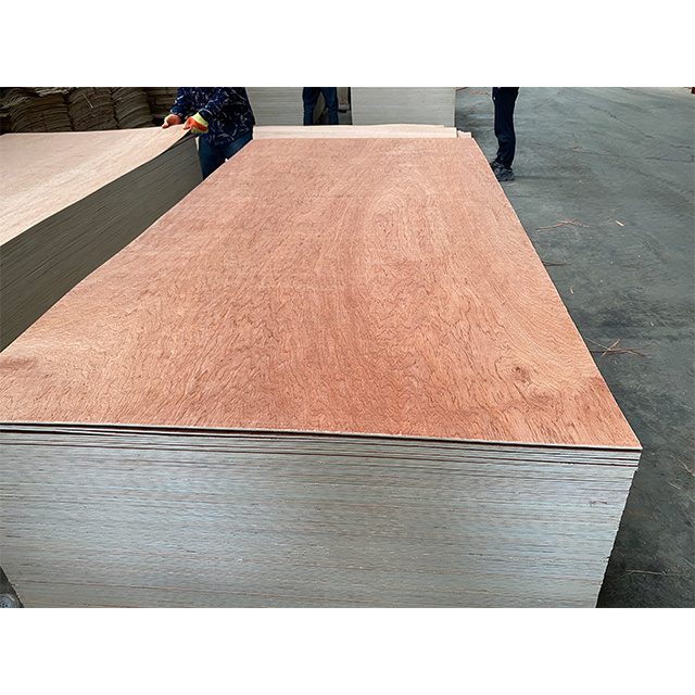 Plywood Competitive Price 1220*2440 Okoume/Bintangor/Pine/Birch/Poplar Plywood Furniture Plywood