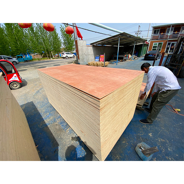 Plywood Competitive Price 1220*2440 Okoume/Bintangor/Pine/Birch/Poplar Plywood Furniture Plywood