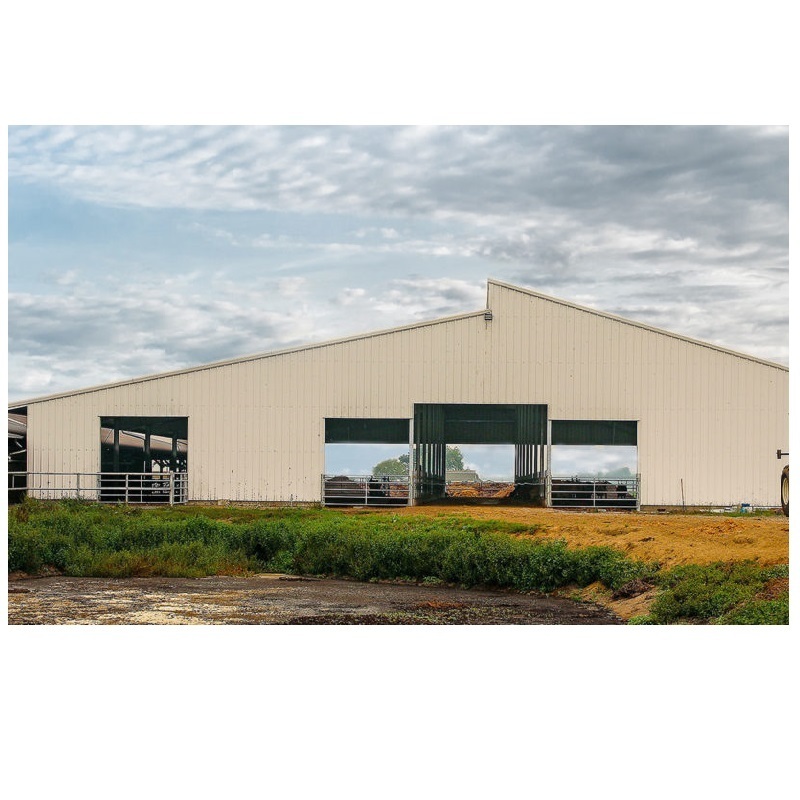 Steel Structure CowShed Prefabricated Dairy Cow Cattle Farm Shed Barns Building Bangladesh