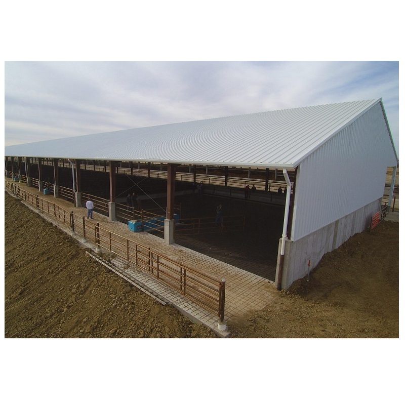 Steel Structure CowShed Prefabricated Dairy Cow Cattle Farm Shed Barns Building Bangladesh