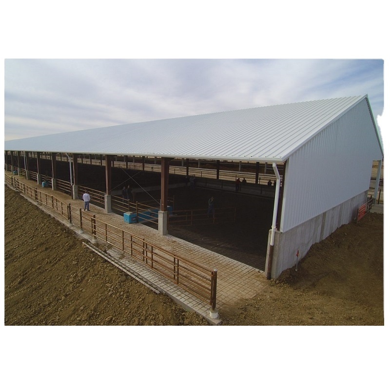 Fast Construction Prefab Light Building Steel Structure Cattle Sheep Shed For Sale