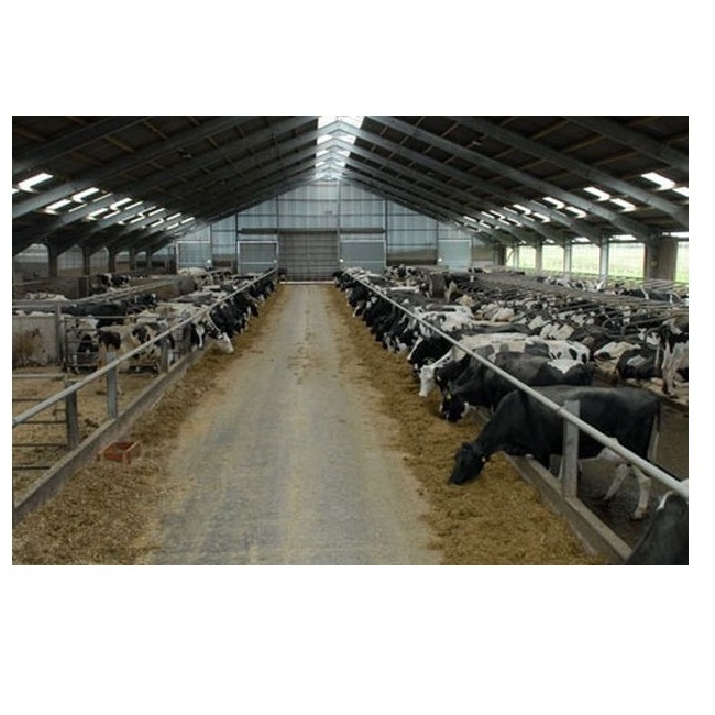 Fast Construction Low Cost Prefab Light Steel Structure Cattle Cow Goat Sheep Pig Shed For Sale