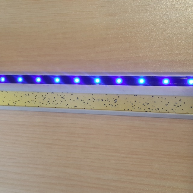 Bus Step LED Strip Light