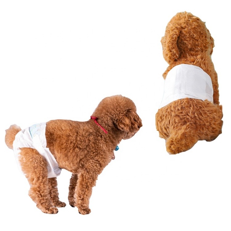 Quanzhou Manufacturer Wholesale Disposable Pet Diapers Free Sample Super Absorbent Cotton Female Wrap Dog Diapers For Dogs