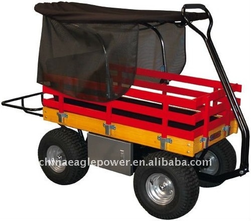 Children Wooden Wagon with Canopy