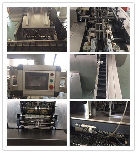 Echo Automatic Carton Small Box Packing Machine