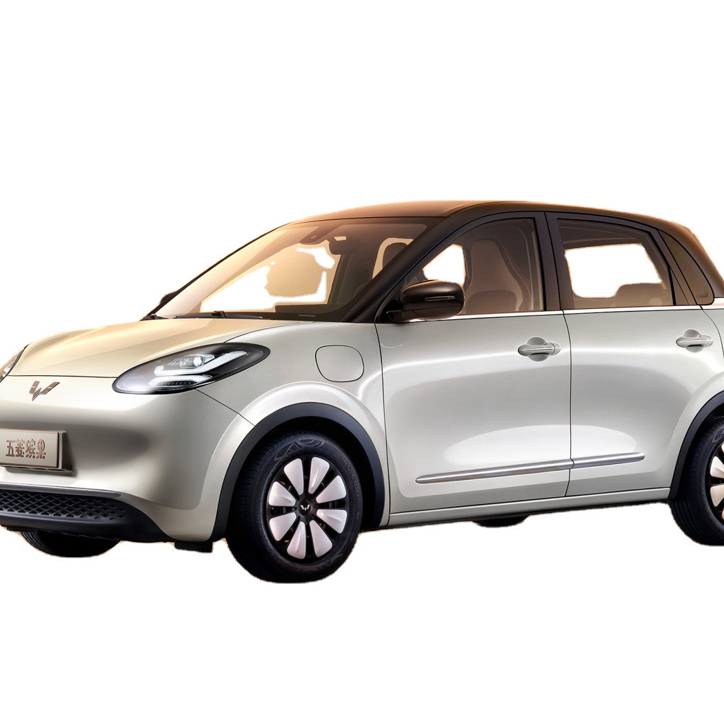 Wuling Binguo 2023 New Wuling Bingo 333km Small New Energy Vehicles Pure Electric Cars Mini EV Car