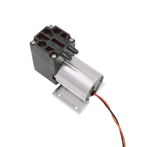 Diaphragm  Brushless 12v Dc Water Pump