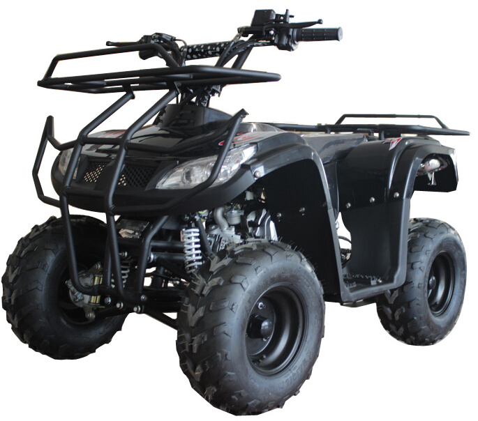 2022 Chinese Hot selling Popular Gasoline Four Wheeler Atvs 125CC Quad Bike atv