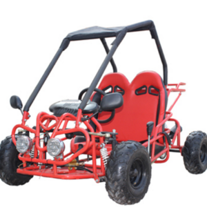 110cc Adult Gas Powered Dune Buggy  Go Karts With CE (G7-03)