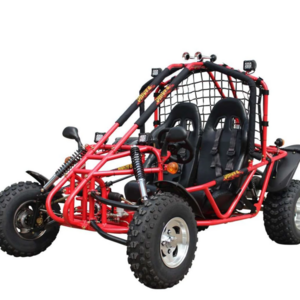 New Adult Kan-Di Go Karts Dune Buggy 150cc/200cc  Go Kar With CE