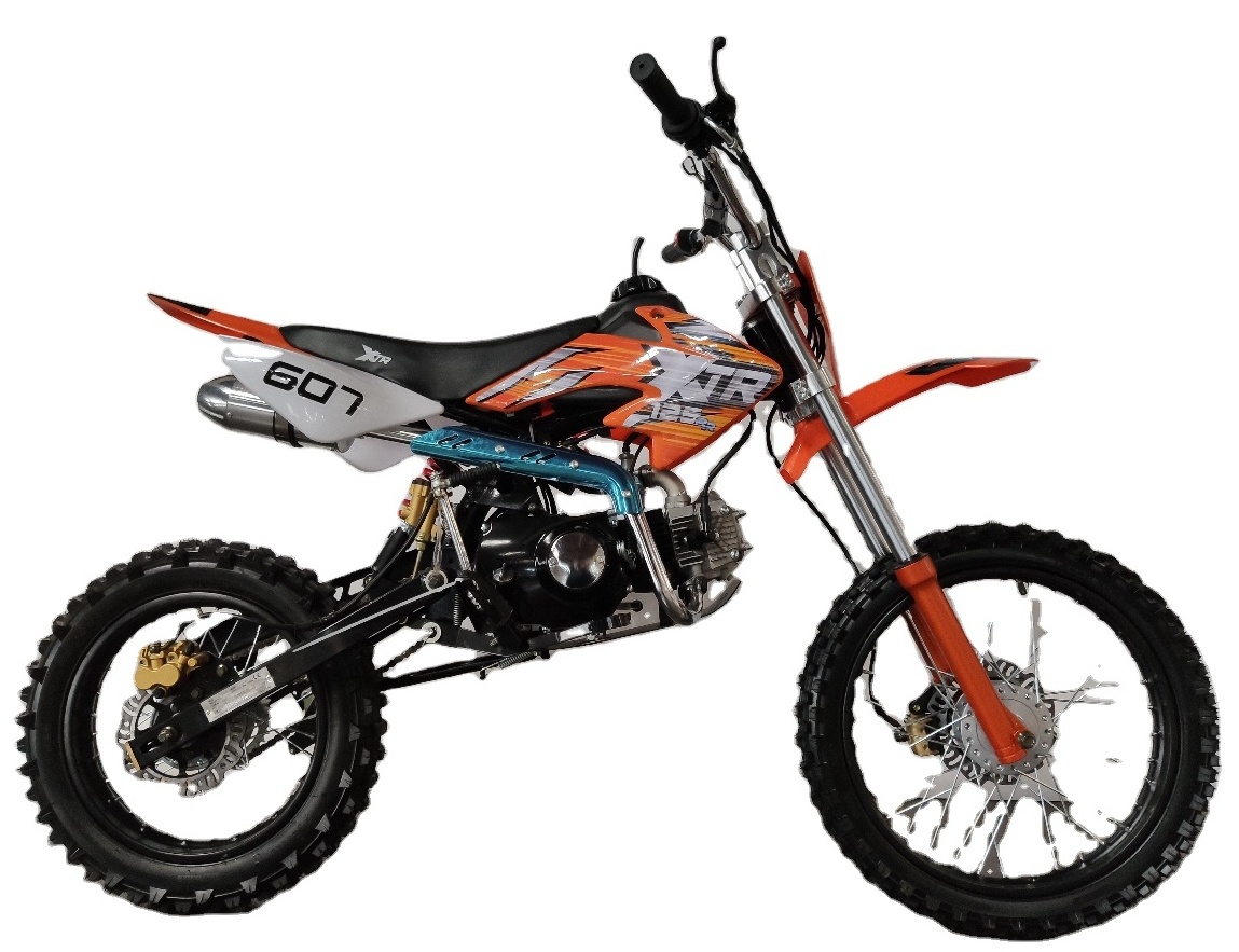 Motor 4 stroke 125cc Adult off road Dirt Bike with CE (D7-12E) motorcycle