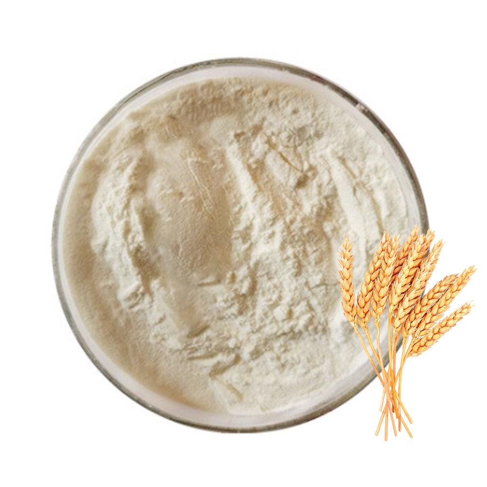 FARMASINO SUPPLY Factory Price Soluble Wheat Protein Food Grade Vital Wheat Gluten /Wheat Protein