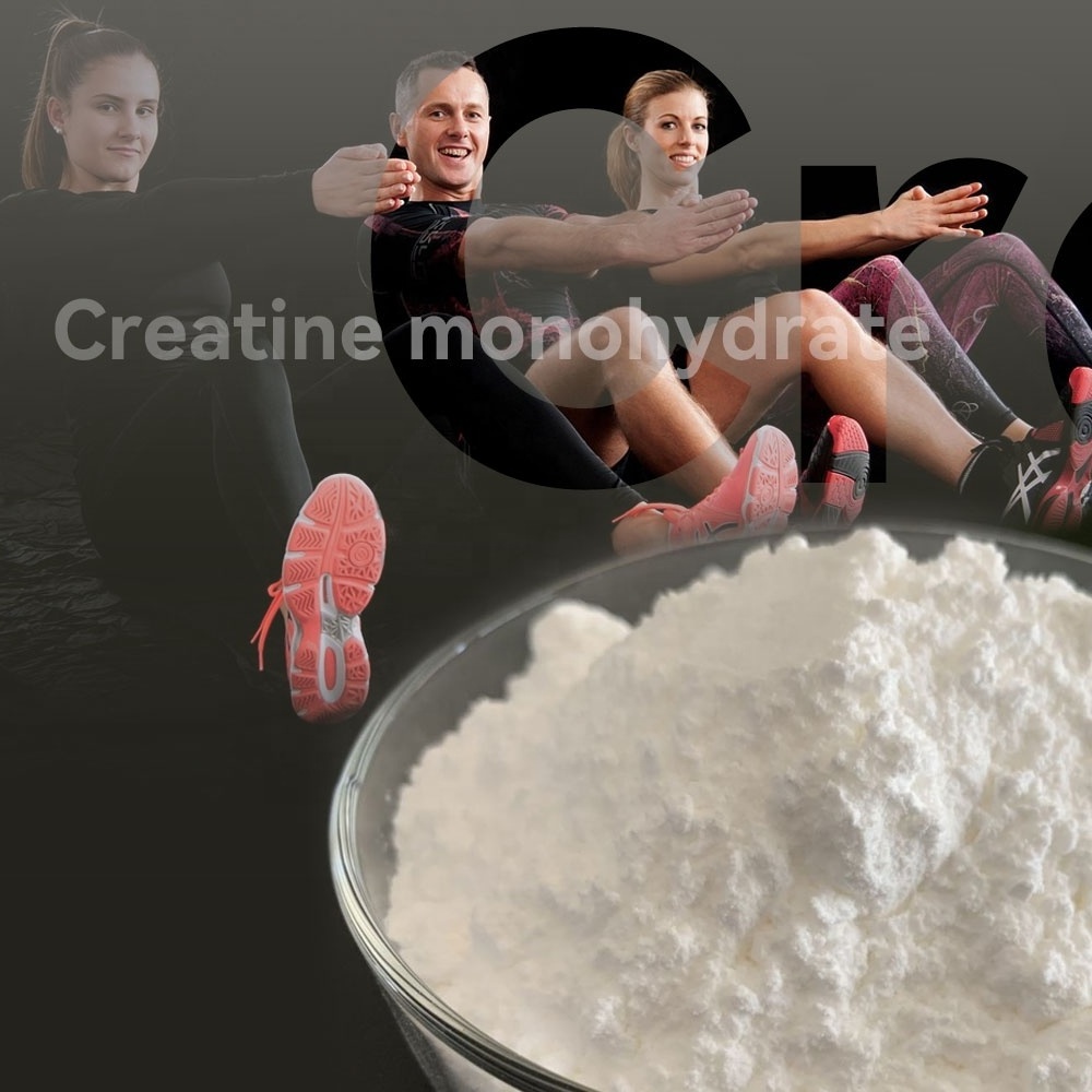 Creatine Monohydrate Powder Wholesale Micronized Food Grade Creatine Monohydrate 200 mesh