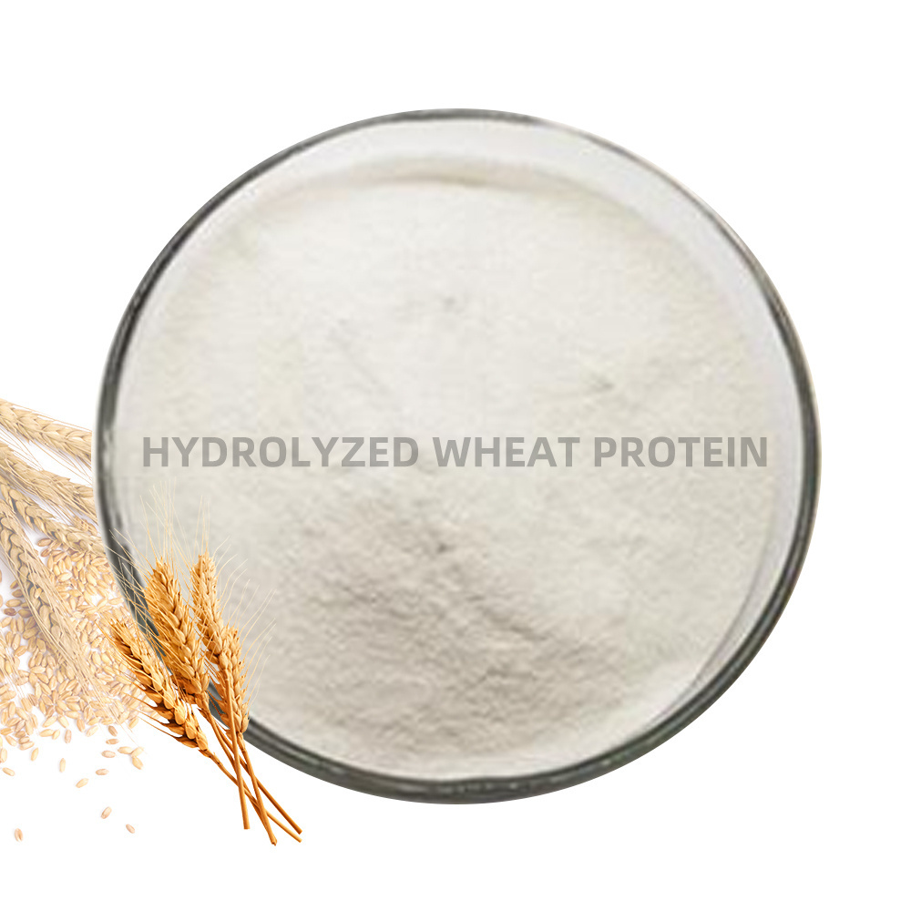 Hot Sale Vital Wheat Gluten Protein Hydrolyzed Wheat Protein Powder 20kg for Food Vital Wheat Protein Isolate